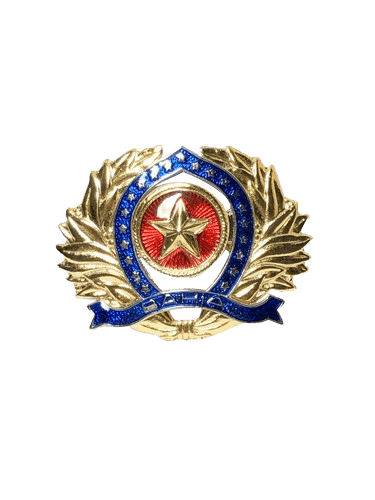 Distintivo militar de boina com acabamento dourado e detalhes esmaltados