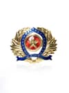 DISTINTIVO DE BOINA OFICIAL, visual 1