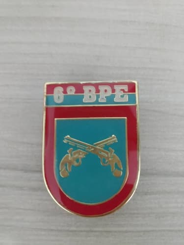 DISTINTIVO 6º BPE EXÉRCITO BRASILEIRO, visual 1