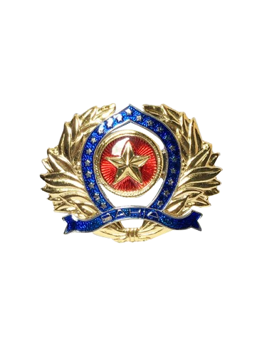Distintivo de boina